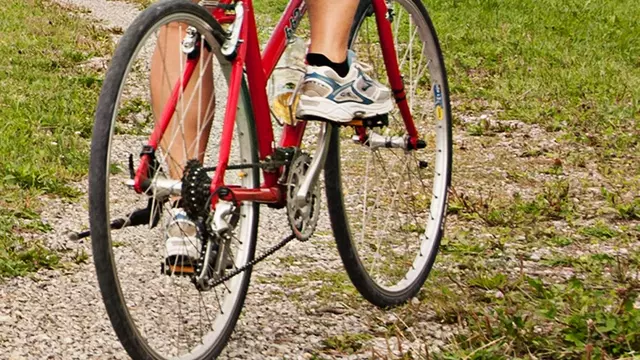 ein Fahrradfahrer auf dem Feldweg